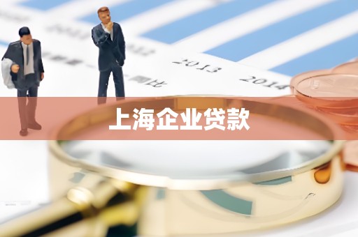 上海企业贷款 上海企业贷款