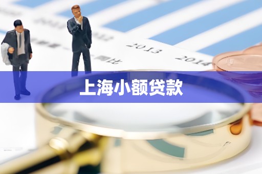 上海小额贷款